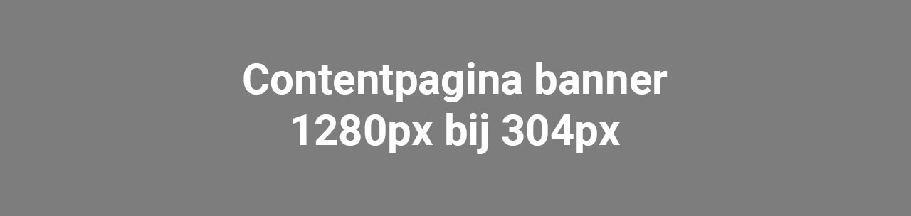 Cv aanmaken